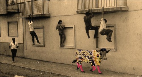 Play – Oggi sono un torero